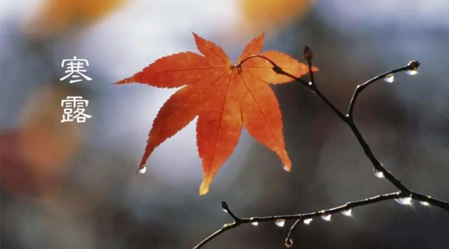 寒露時(shí)節(jié)！金環(huán)電器提醒大家要注意的事項(xiàng)