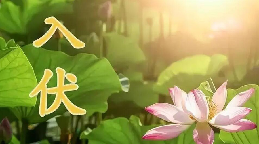 入伏天來襲！金環(huán)電器提醒大家要注意的事項