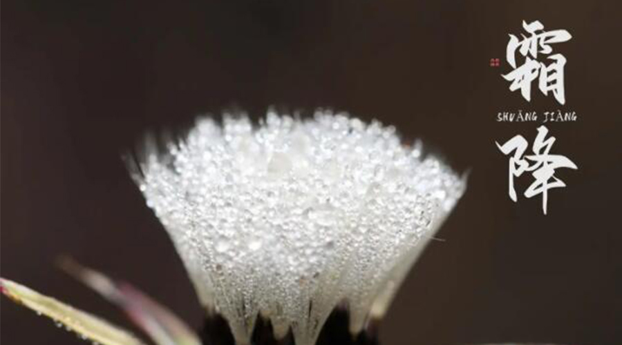 霜降時(shí)節(jié)！金環(huán)電器提醒大家要注意的事項(xiàng)