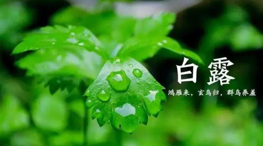 白露時節(jié)！金環(huán)電器提醒大家要注意的事項