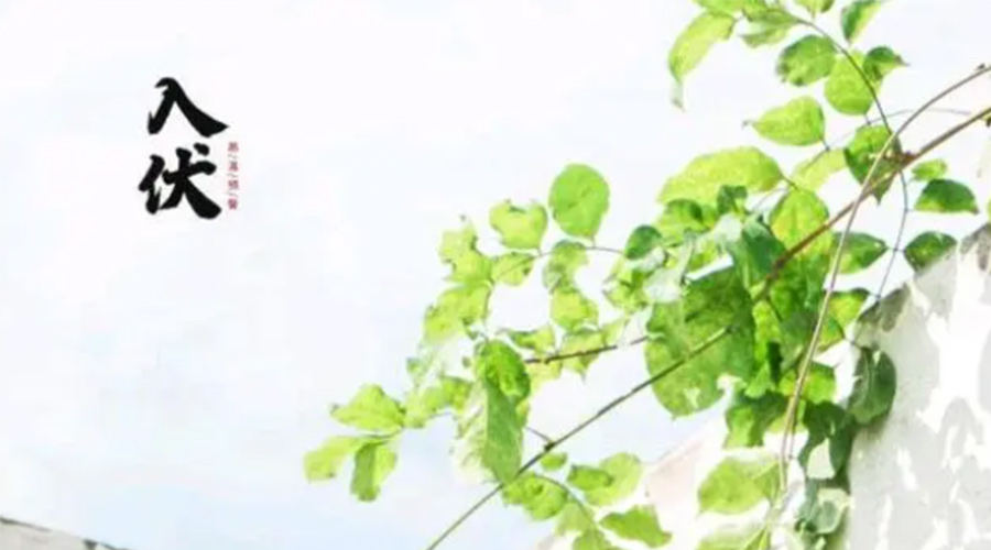 初伏時(shí)節(jié)！金環(huán)電器提醒大家要注意的事項(xiàng)